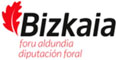 Diputación Foral de Bizkaia